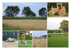 Landwirtschaft in Dorsten und Umgebung