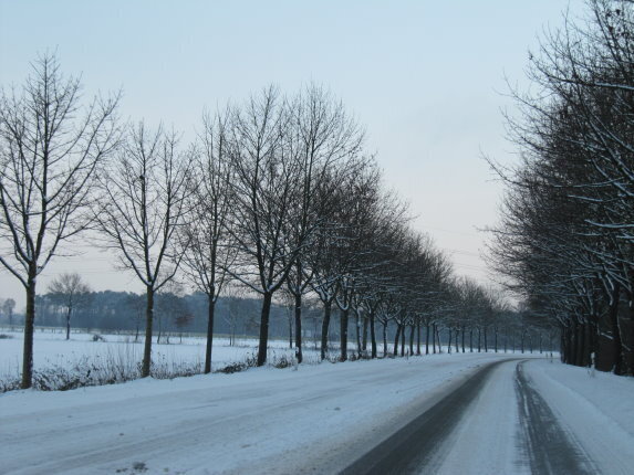 Wulfener Schneelandschaft